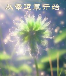 御兽:开局契约超级幸运