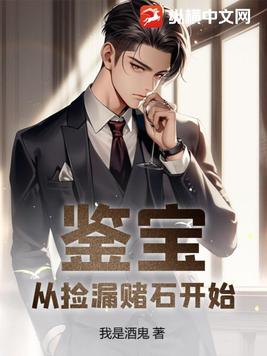 鉴宝:从捡漏赌石开始